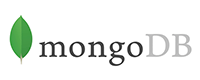 Mongo DB mongoDB